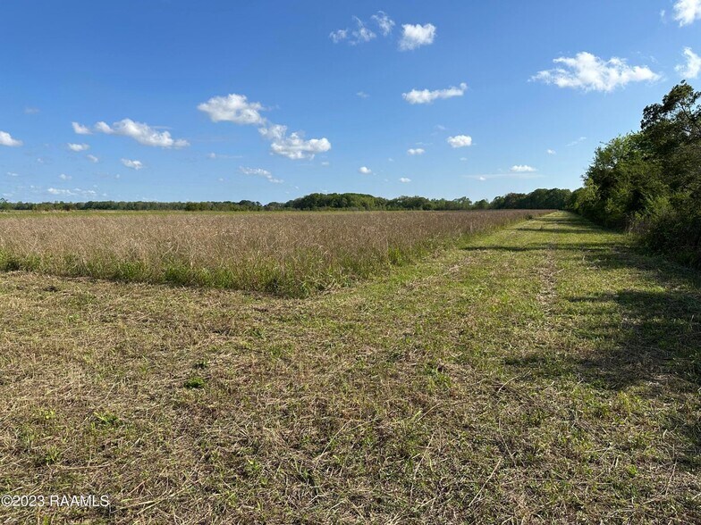More Photos Of TBD Trahan Rd., New Iberia Land For Sale