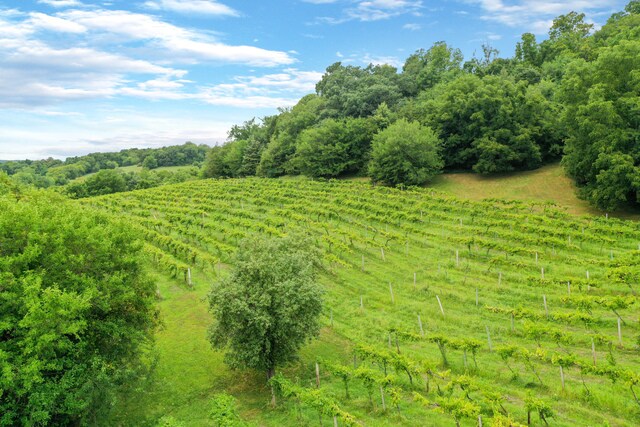 More Photos Of 2003 W Hanover Rd, Hanover Winery Vineyard For Sale