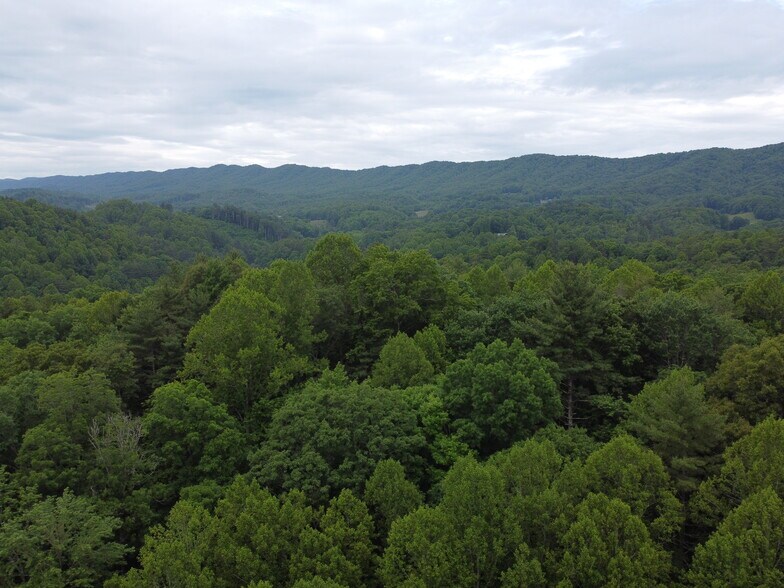 More Photos Of 6421 Highway 91 N, Laurel Bloomery Warehouse For Sale