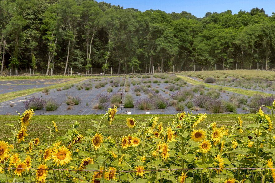 More Photos Of 3360 Sound Ave, Riverhead Land For Sale