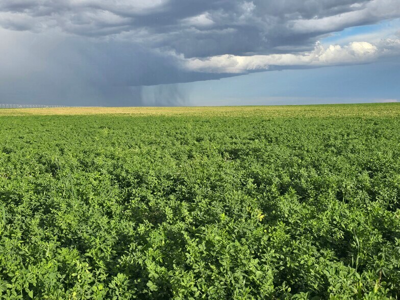 More Photos Of 5798 Road 146, Van Tassell Land For Sale