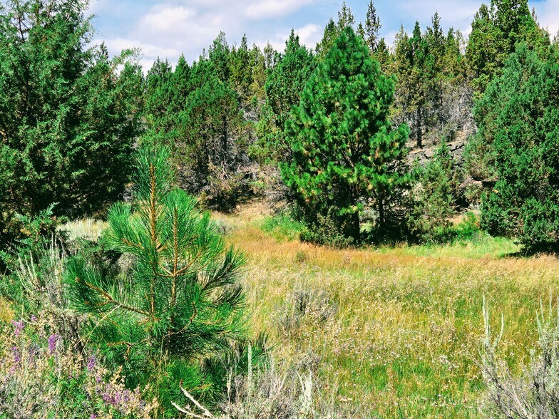 More Photos Of 32611 Tackman Rd, Prineville Land For Sale