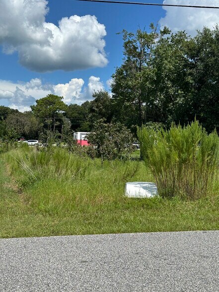 More Photos Of 1051 Paul Dr, Inverness Land For Sale