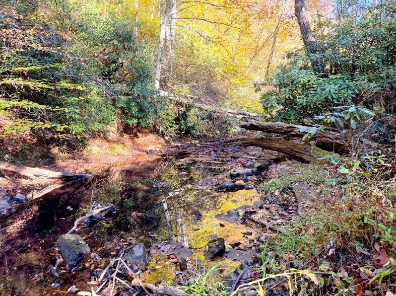 More Photos Of 0 Old Pluto Rd, Shady Spring Land For Sale