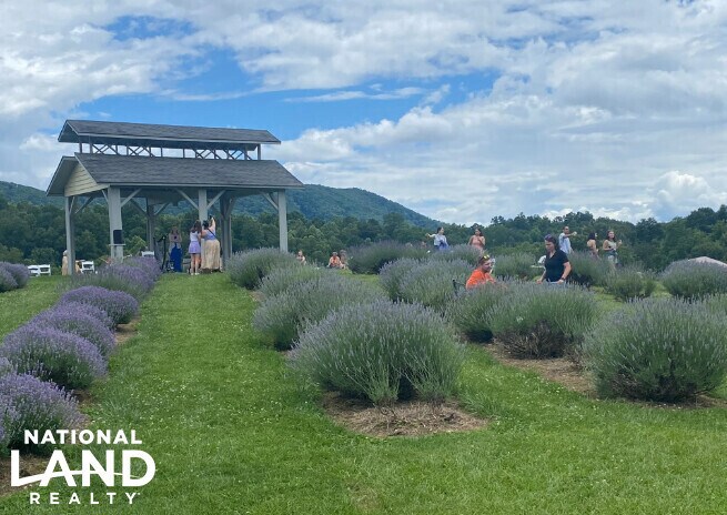 More Photos Of 3899 Eakin Farm Rd, Blacksburg Winery Vineyard For Sale