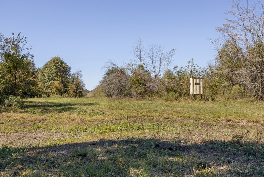 More Photos Of Parker Farm, Edgewood Land For Sale