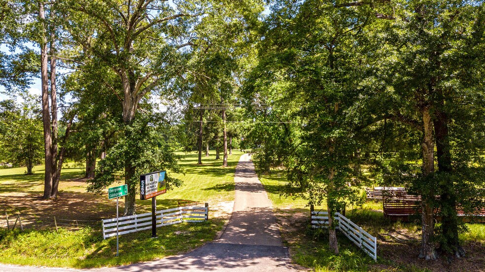 More Photos Of 5260 State Highway 150 W, New Waverly Land For Sale