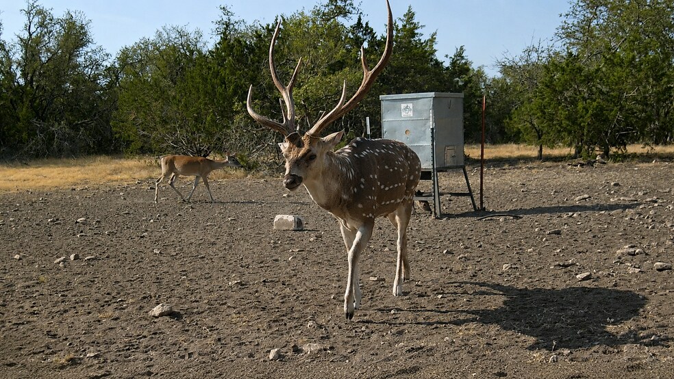 More Photos Of 65 Miles Ln, Harper Land For Sale