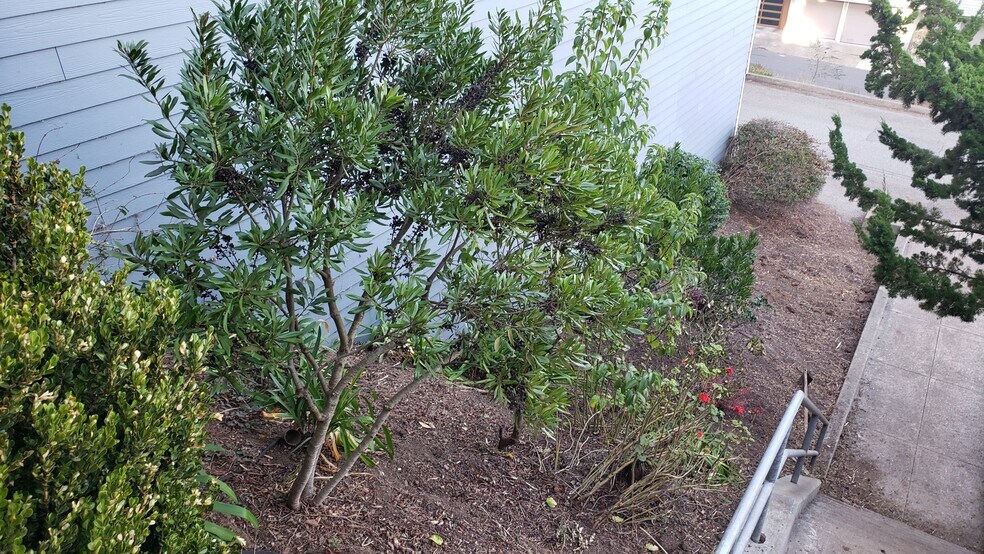 More Photos Of 74 Crestline Dr, San Francisco Multifamily For Sale