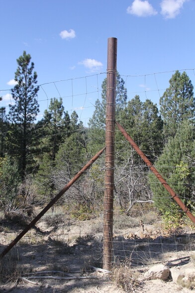 More Photos Of 20.22 acres, Alton Land For Sale