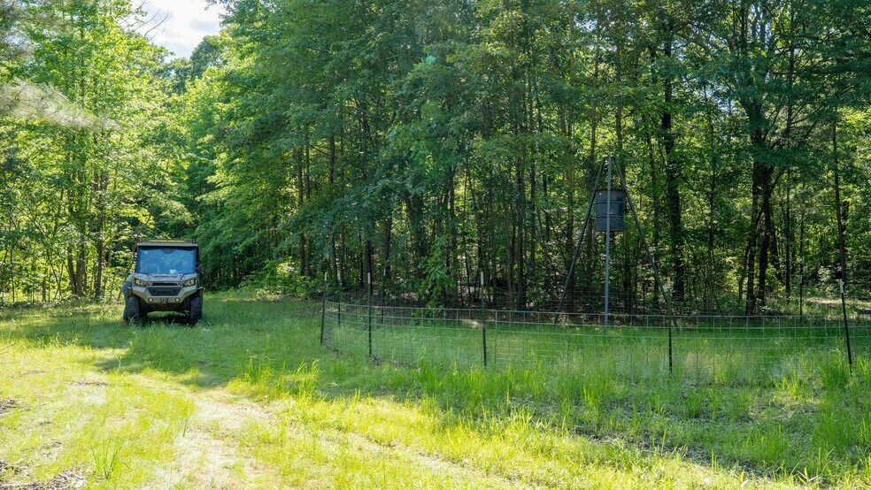 More Photos Of 17631 Farm Road 1159, Clarksville Land For Sale