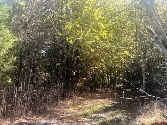 More Photos Of Neale Dr, Brandywine Land For Lease