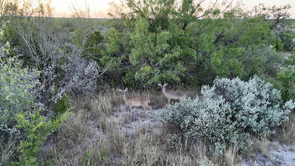More Photos Of 000 Ranch to Market 3008, Brackettville Land For Sale