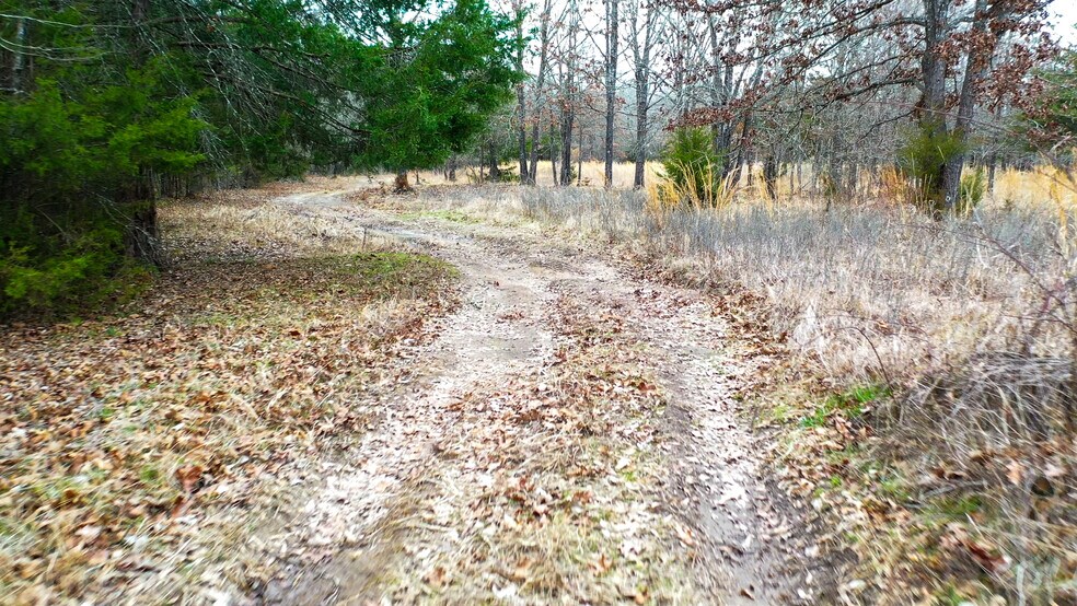 More Photos Of 1200 County 1255 rd, Detroit Land For Sale