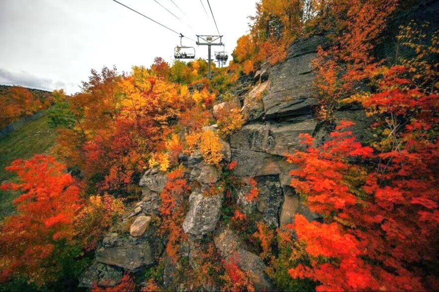 More Photos Of 64 Highlands Drive, Hunter Hospitality For Sale