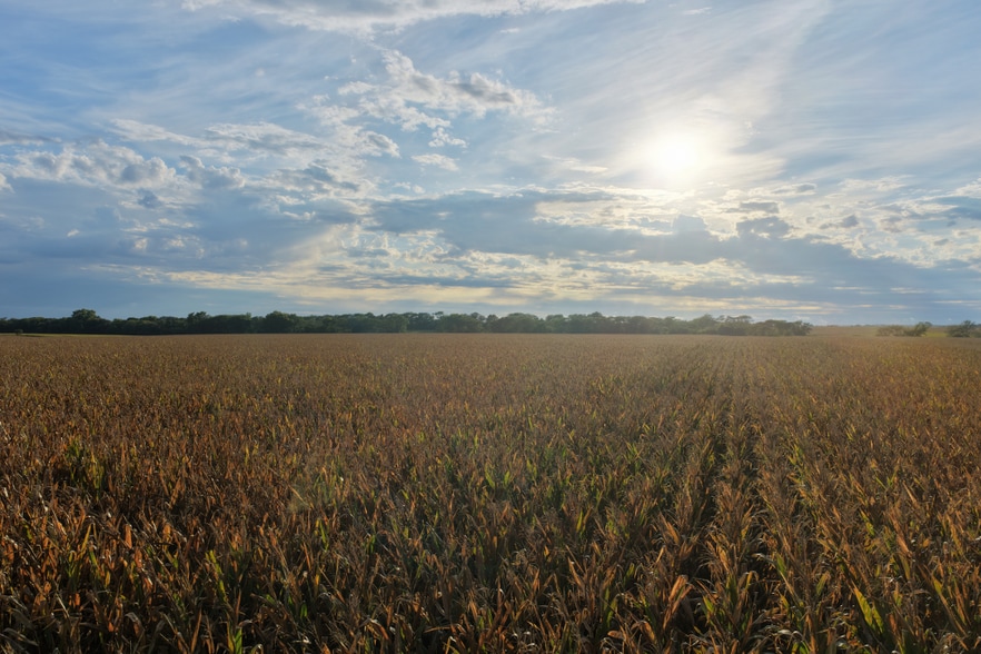 More Photos Of State Highway 16, Stockport Land For Sale