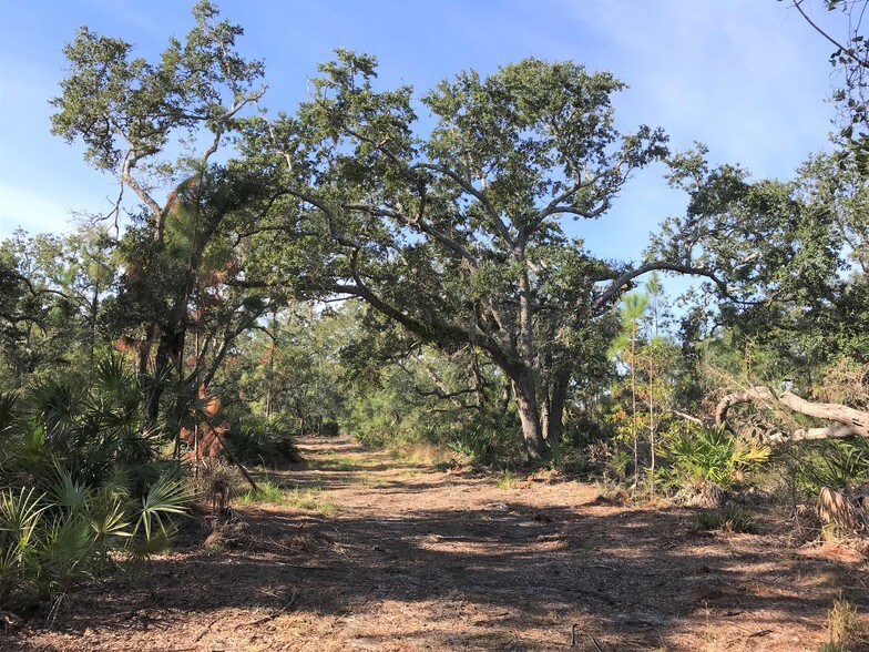More Photos Of 0 Clara Ave, Panama City Beach Land For Sale