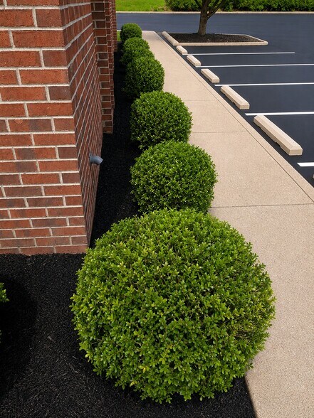 More Photos Of 115 Highway 641 S, Camden Office For Lease