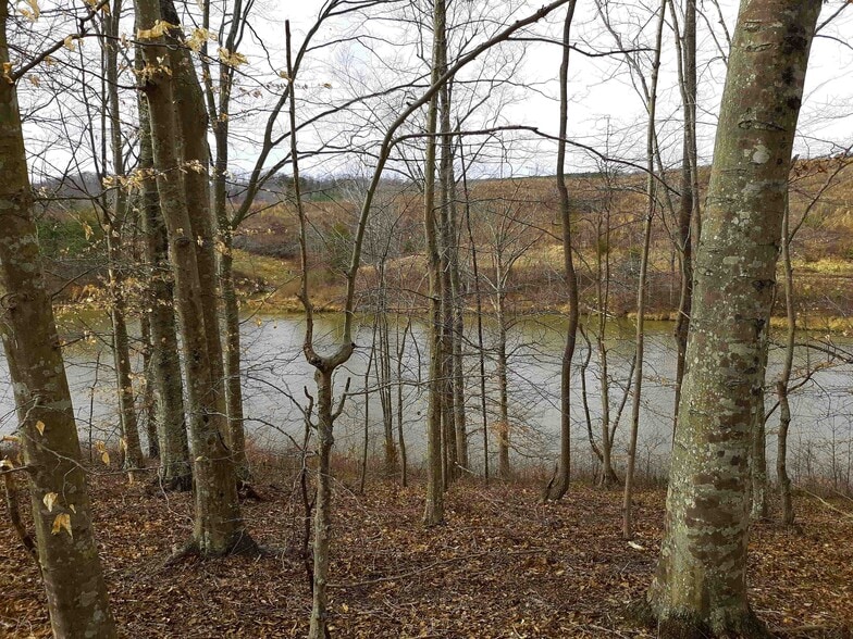 More Photos Of 564 W Main St, Yanceyville Land For Sale