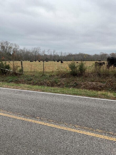 More Photos Of 3203 Lee Seminary Rd, Cookeville Land For Sale