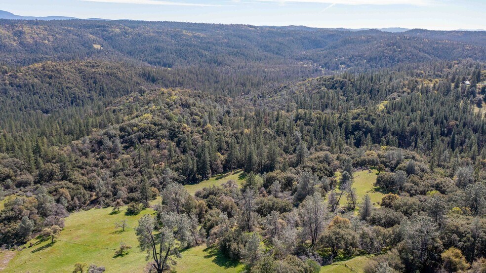 More Photos Of 18800 Charleston Rd, Volcano Land For Sale