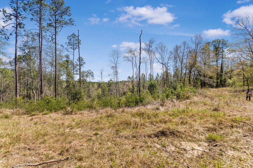 More Photos Of 7700 Iron Rush Rd, Wilmer Land For Sale