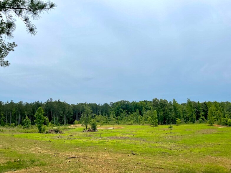 More Photos Of 92 Lillian Strong rd, Carlton Land For Sale
