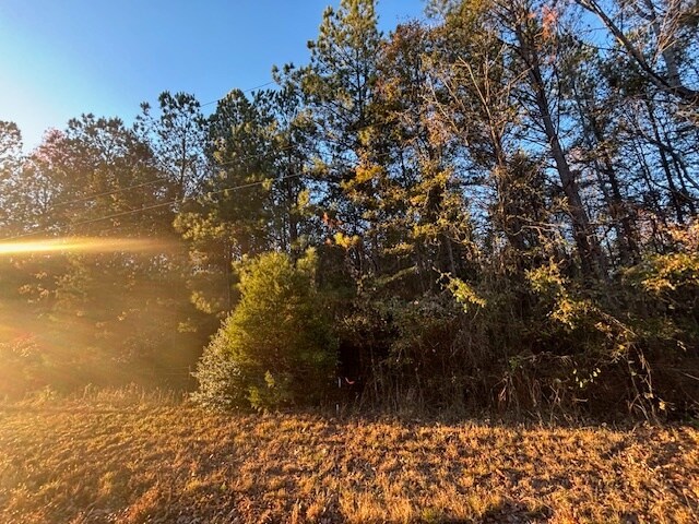 More Photos Of 2001 Atlanta Hwy, Bogart Land For Sale