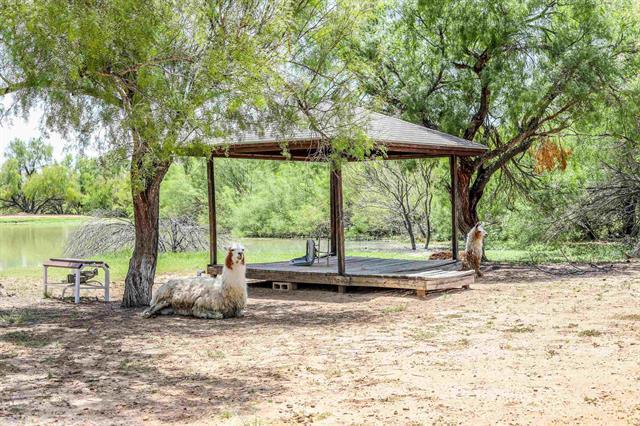 More Photos Of 1273 Ben Silva Rd, Asherton Land For Sale