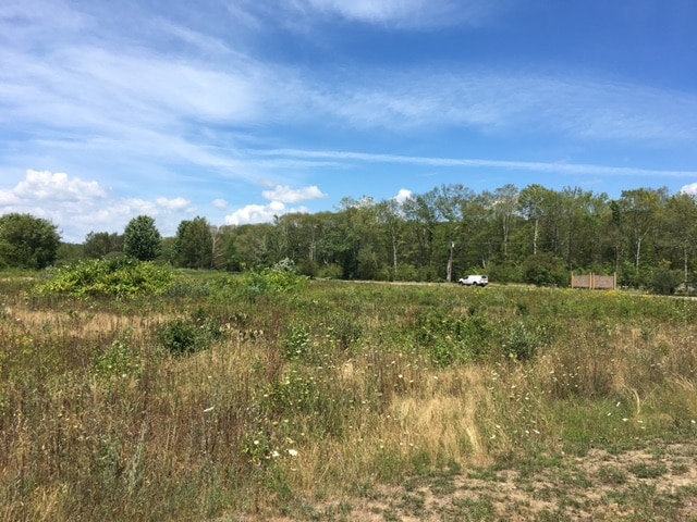 More Photos Of 399 Norwich Westerly Rd, North Stonington Land For Sale