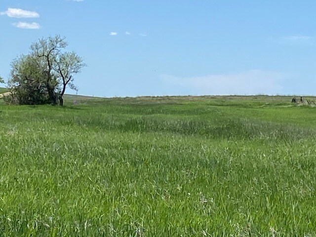 More Photos Of 29392 239th St, Vivian Land For Sale