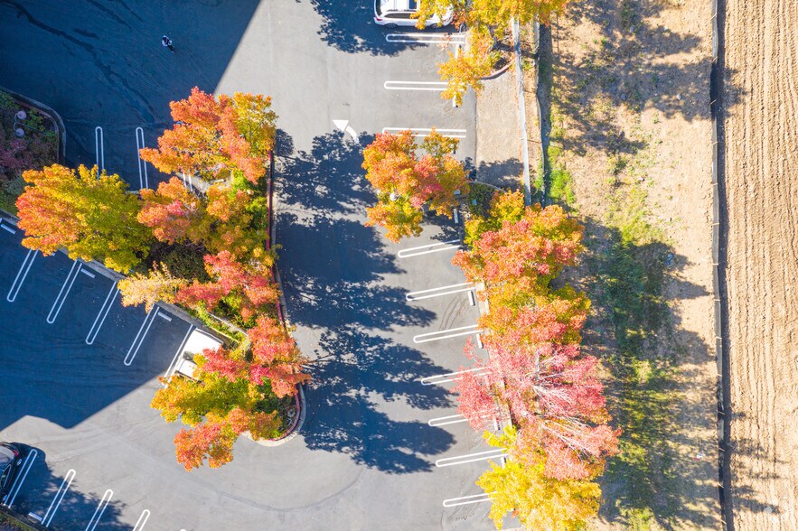 More Photos Of 125 E Sir Francis Drake Blvd, Larkspur Office For Lease