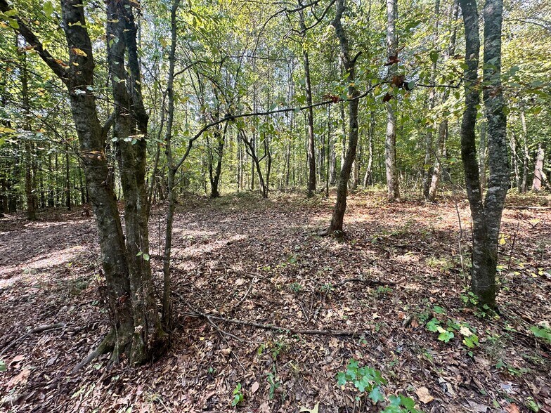 More Photos Of 7330 Frix Rd, Cumming Land For Sale