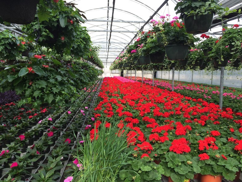 More Photos Of 609-621 E Maple Ave, Newark Light Manufacturing For Lease