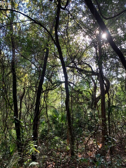 More Photos Of 785 & 935 N Independence Hwy, Inverness Land For Sale