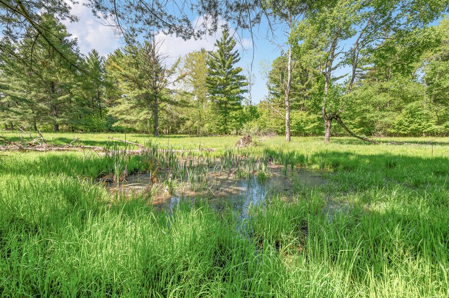 More Photos Of V/L 220th Ave, Big Rapids Land For Sale
