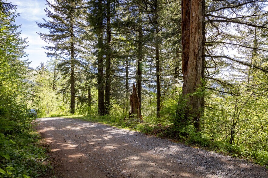 More Photos Of 0 Snag Mountain Road, Washougal Land For Sale
