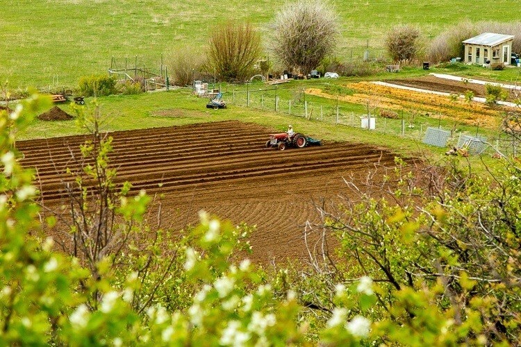 More Photos Of 9130 Village Way, Victor Land For Sale