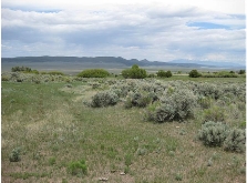 Primary Photo Of Off County Road B-064, Amalia Land For Sale