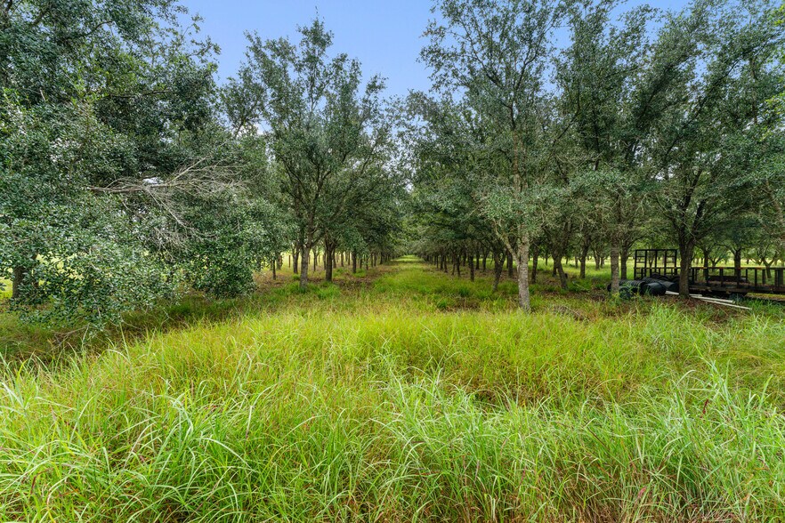 More Photos Of 23111 FM 1462 Rd, Damon Land For Sale