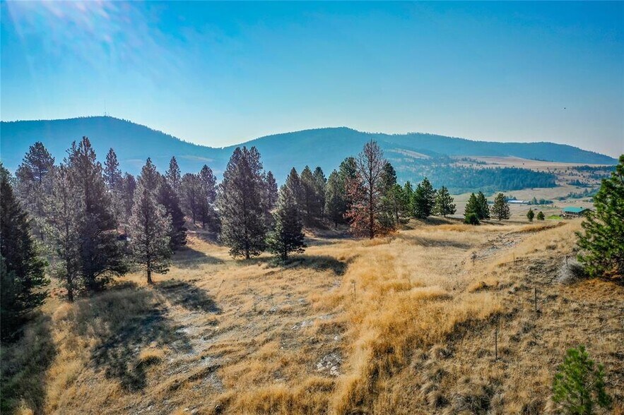 More Photos Of 29011 Walking Horse Ln, Big Arm Land For Sale