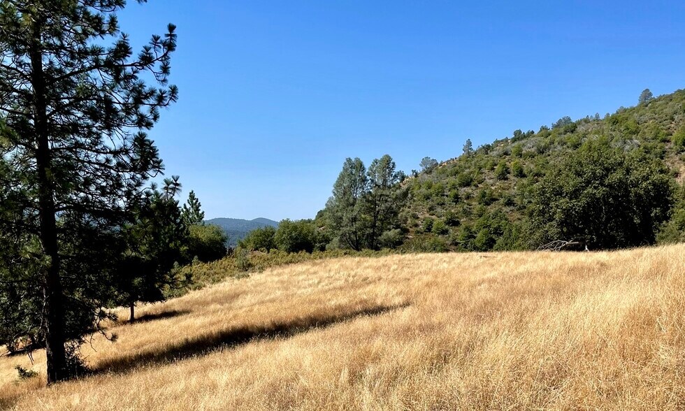 More Photos Of 00000 Forrest Road 1N19, Tuolumne Land For Sale