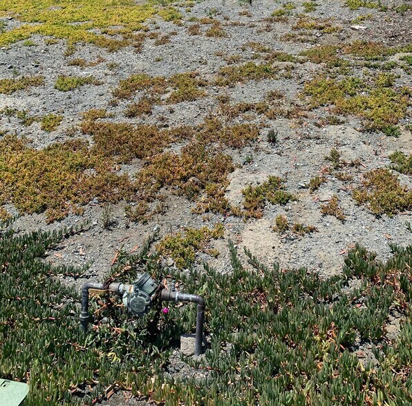 More Photos Of 0 Calle Los Arboles, Spring Valley Land For Sale