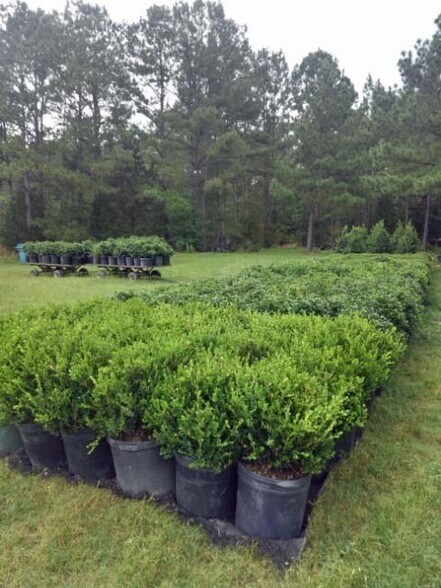 More Photos Of 224 Co Rd 096, Jasper Land For Sale