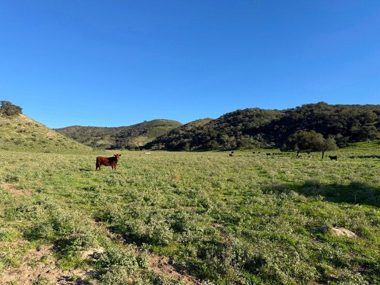 More Photos Of 1701 246 hwy, Buellton Land For Sale