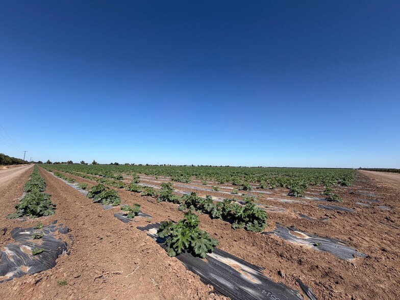 More Photos Of 2110 Drais Rd, Stockton Land For Sale
