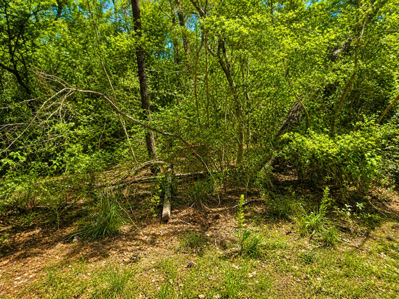 More Photos Of 9102 Blue Lake dr, Plantersville Land For Sale