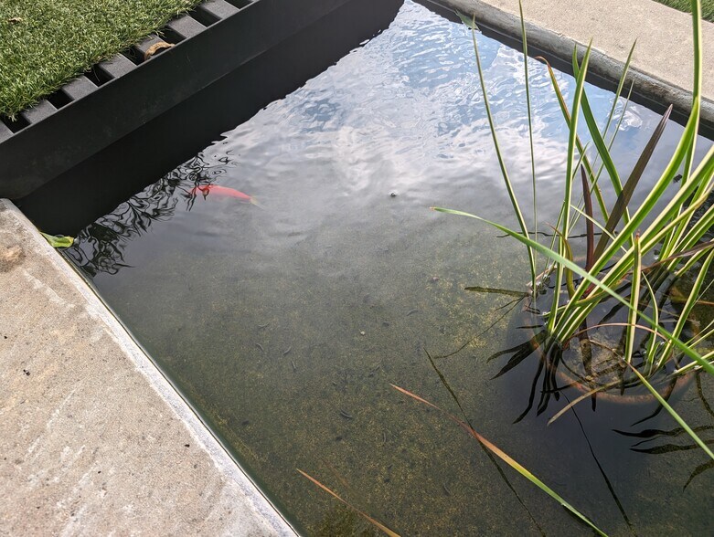 More Photos Of 3906 Menchaca Rd, Austin Medical For Lease