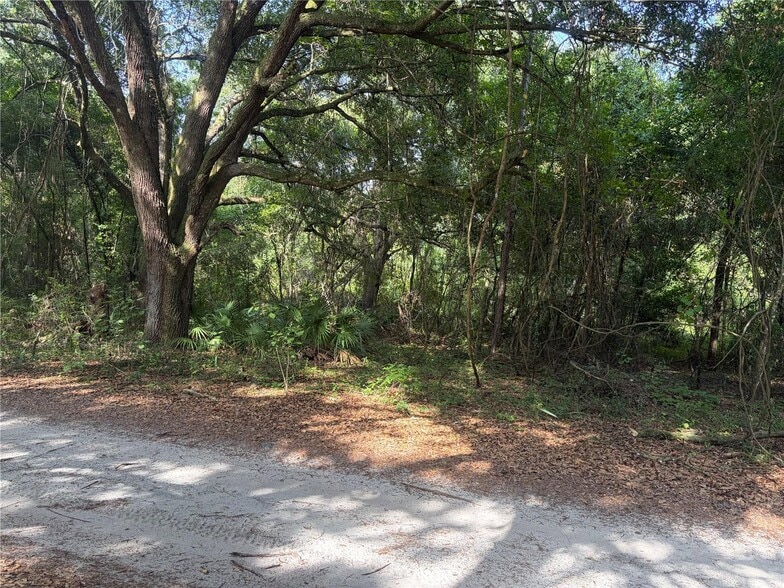 More Photos Of County Road 738, Webster Land For Sale