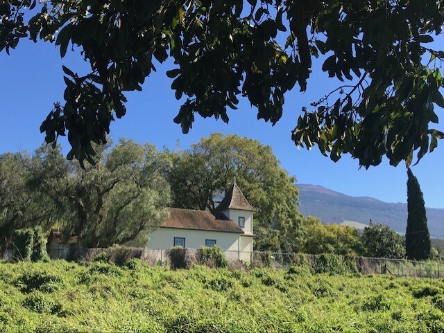 More Photos Of 3135 Lower Kula Rd, Kula Storefront Retail Office For Sale